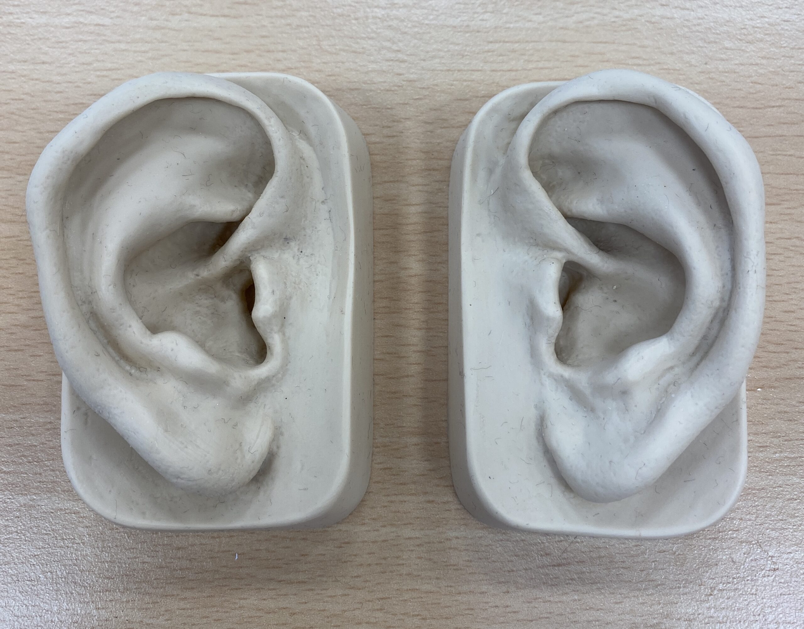 Two ears
